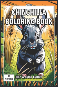 Chinchilla Coloring Book