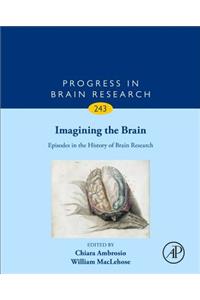 Imagining the Brain: Episodes in the History of Brain Research