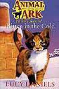 Kitten In The Cold