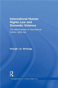 International Human Rights Law and Domestic Violence