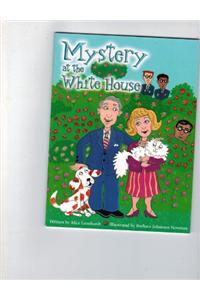 Steck-Vaughn Pair-It Books Proficiency Stage 6