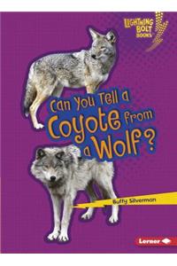 Can You Tell a Coyote from a Wolf