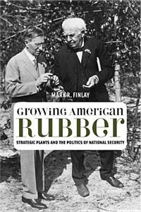 Growing American Rubber