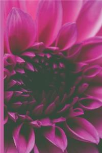 Joyful, Loved, Worthy, Grateful Daily Journal