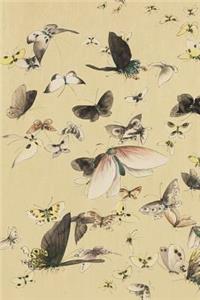 Butterfly Composition Notebook