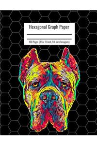 Hexagonal Graph Paper