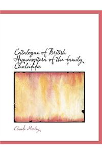 Catalogue of British Hymenoptera of the Family Chalcidid