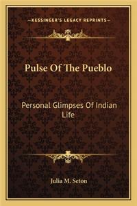 Pulse of the Pueblo: Personal Glimpses of Indian Life