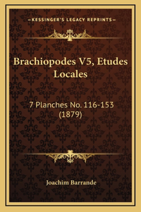 Brachiopodes V5, Etudes Locales