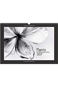 Plants in Black and White / UK-Version 2017