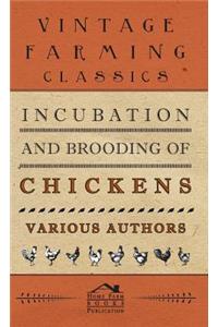 Incubation and Brooding of Chickens