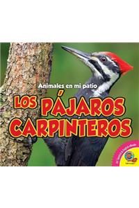 Pájaros Carpinteros