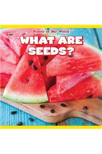 What Are Seeds?