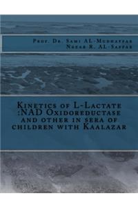 Kinetics of L-Lactate
