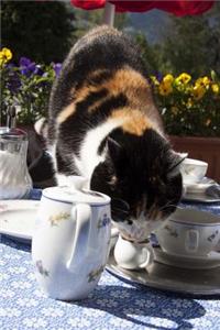 Kitty in the Cream Pet Journal