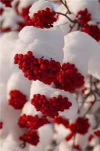 Red Rowan Berries in the Snow Finland Journal