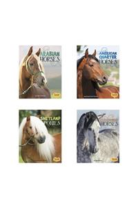 Horse Breeds