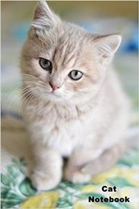 Cat Notebook