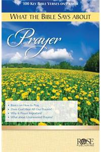 What the Bible Says About Prayer (pack of 5)