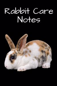 Rabbit Care Notes