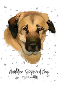 Anatolian Shepherd Dog 2020 Planner