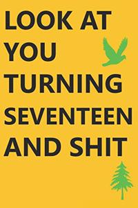 Look at You Turning Seventeen and Shit Notebook Birthday Gift