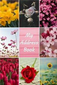 My Address Book