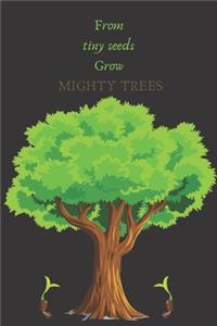 From Tiny Seeds Grow Mighty Trees