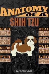 Anatomy Of A Shih Tzu