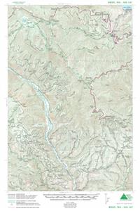 Brief, Wa No. 147