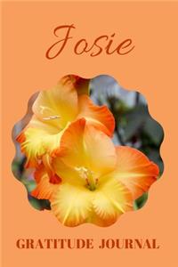 Josie Gratitude Journal