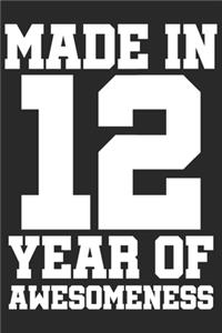 Made in 12 Year of Awesomeness