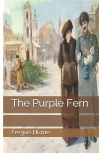 The Purple Fern