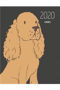 2020 Spaniel