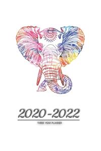 2020-2022 three year planner