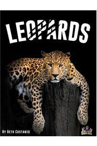 Leopards