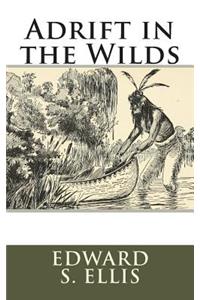 Adrift in the Wilds