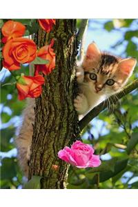 Pink Kitten Composition Book Journal