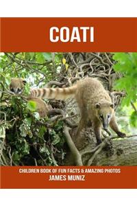 Coati