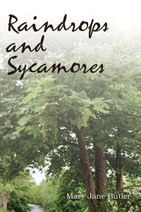 Raindrops and Sycamores