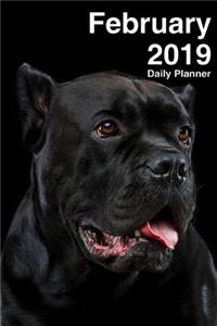 February 2019 Daily Planner