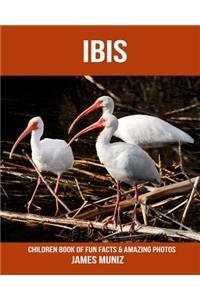 Ibis: Children Book of Fun Facts & Amazing Photos