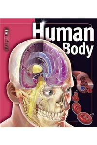 Human Body