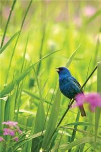 Indigo Bunting Blank Journal