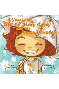 A Year in the Life of Macy Casey and the Pretend Triplets