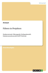 Führen in Projekten