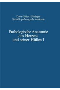 Pathologische Anatomie des Herzens und seiner Hüllen