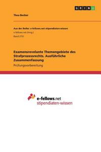 Examensrevelante Themengebiete des Strafprozessrechts. Ausführliche Zusammenfassung