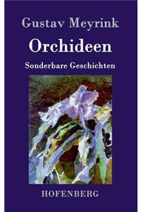 Orchideen