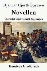 Novellen (Großdruck)